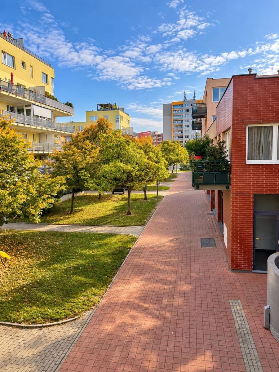 Prenájom bytu 3-izbový 101 m², Voskovcova, Praha, Praha Prenájom bytu 3-izbový 101 m², Voskovcova, Praha, Praha