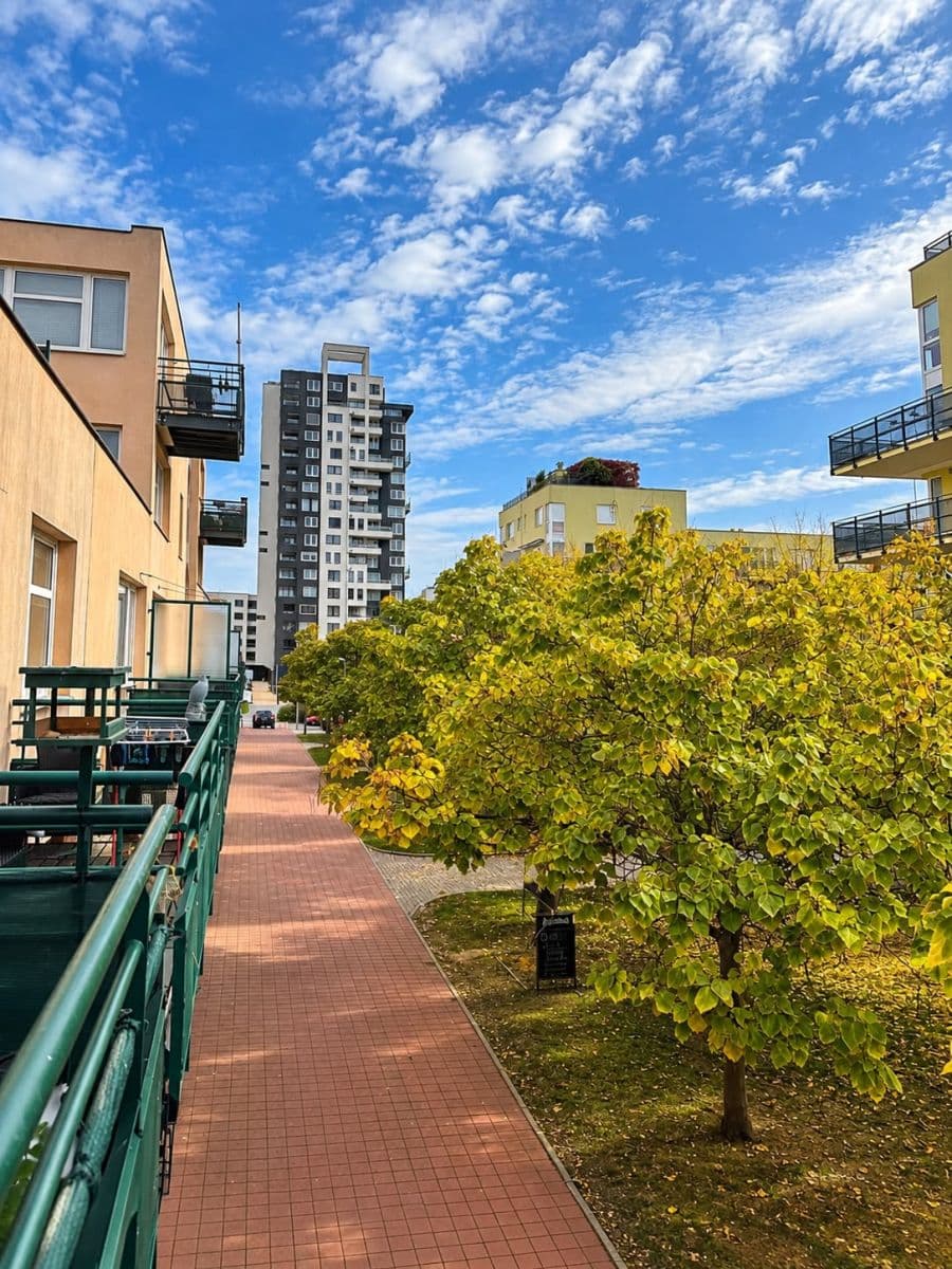 Prenájom bytu 3-izbový 101 m², Voskovcova, Praha, Praha Prenájom bytu 3-izbový 101 m², Voskovcova, Praha, Praha