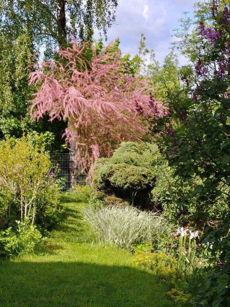 Predaj domu 155 m², pozemok 278 m², Witten, Severné Porýnie - Westfálsko Predaj domu 155 m², pozemok 278 m², Witten, Severné Porýnie - Westfálsko