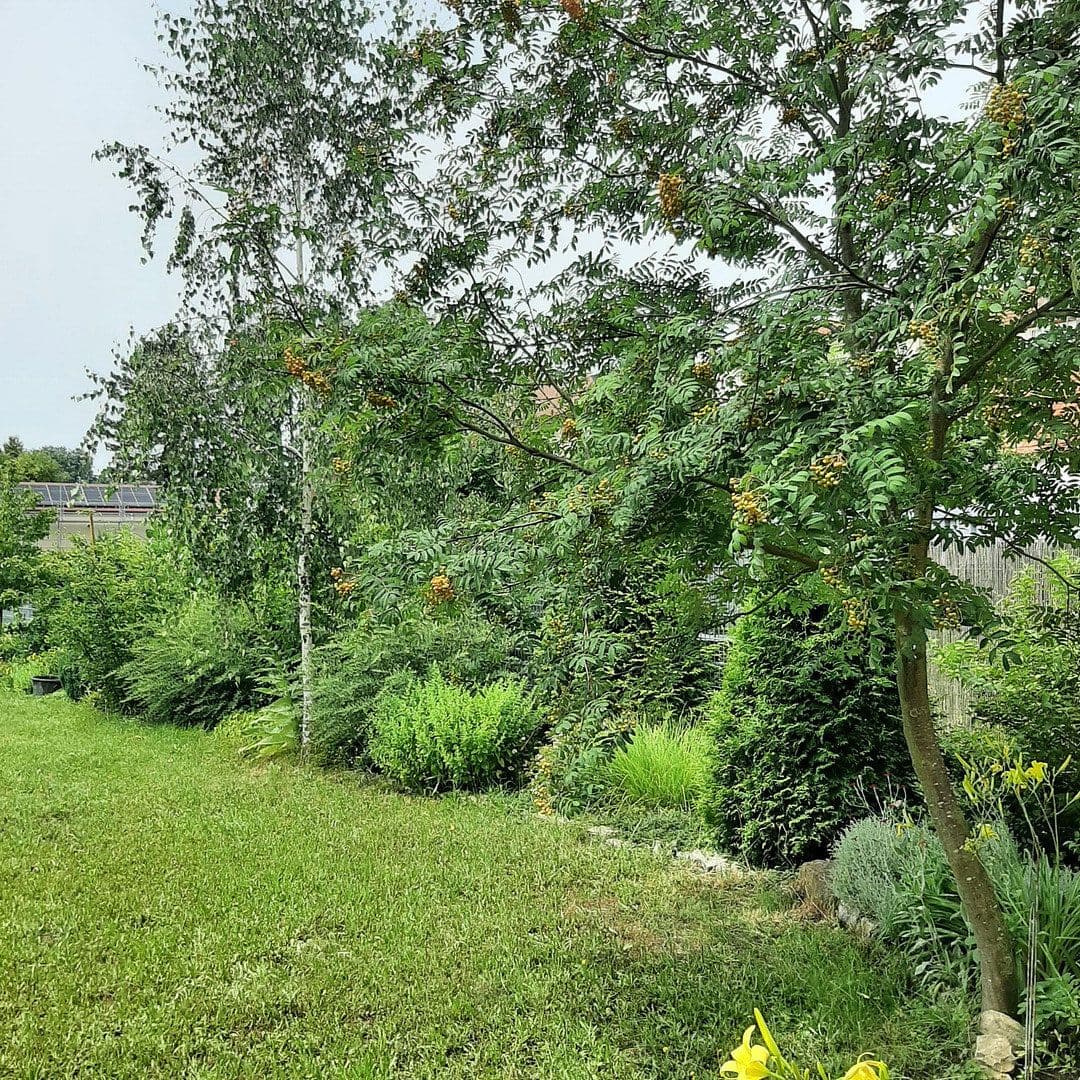 Predaj domu 235 m², pozemok 1.333 m², Kitzingen, Bavorsko Predaj domu 235 m², pozemok 1.333 m², Kitzingen, Bavorsko