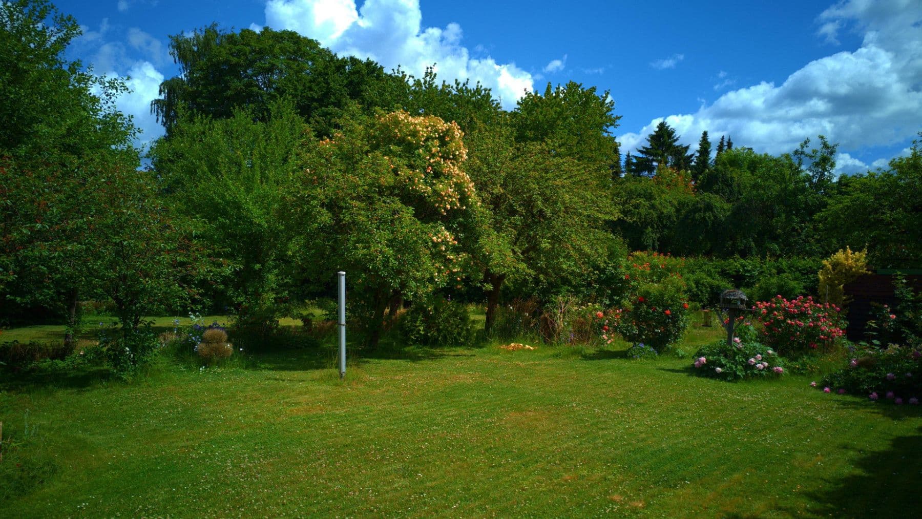Predaj domu 138 m², pozemok 925 m², Hasselbusch 24, Bargteheide, Šlezvicko-Holštajnsko Predaj domu 138 m², pozemok 925 m², Hasselbusch 24, Bargteheide, Šlezvicko-Holštajnsko