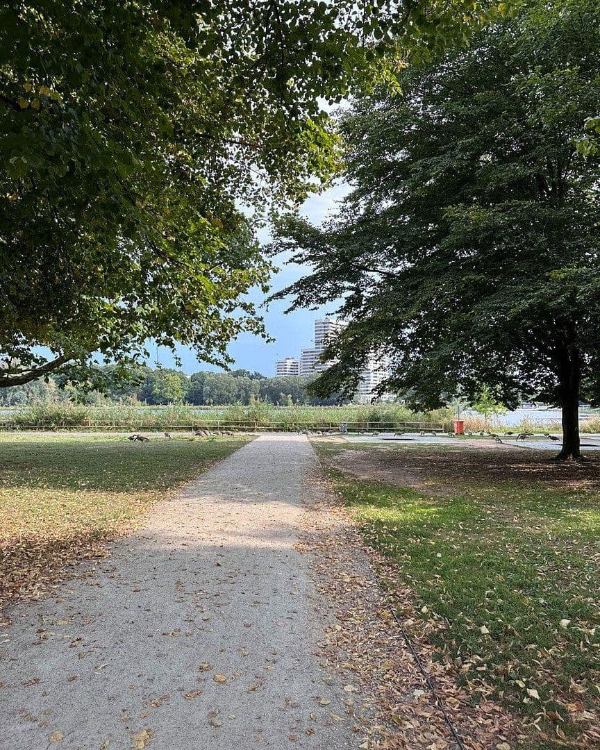 Prenájom bytu 2-izbový 37 m², Nürnberg, Bavorsko Prenájom bytu 2-izbový 37 m², Nürnberg, Bavorsko