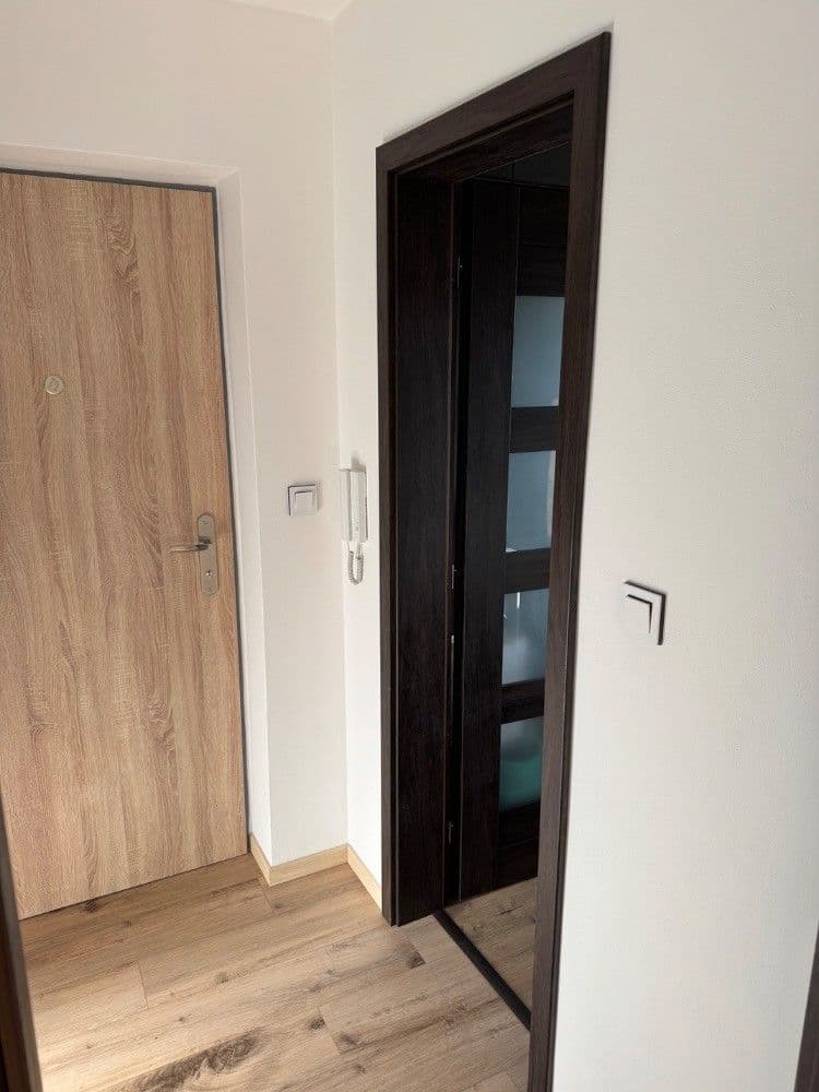Prenájom bytu 2-izbový 50 m², Zahradní, Plzeň, Plzeňský kraj Prenájom bytu 2-izbový 50 m², Zahradní, Plzeň, Plzeňský kraj
