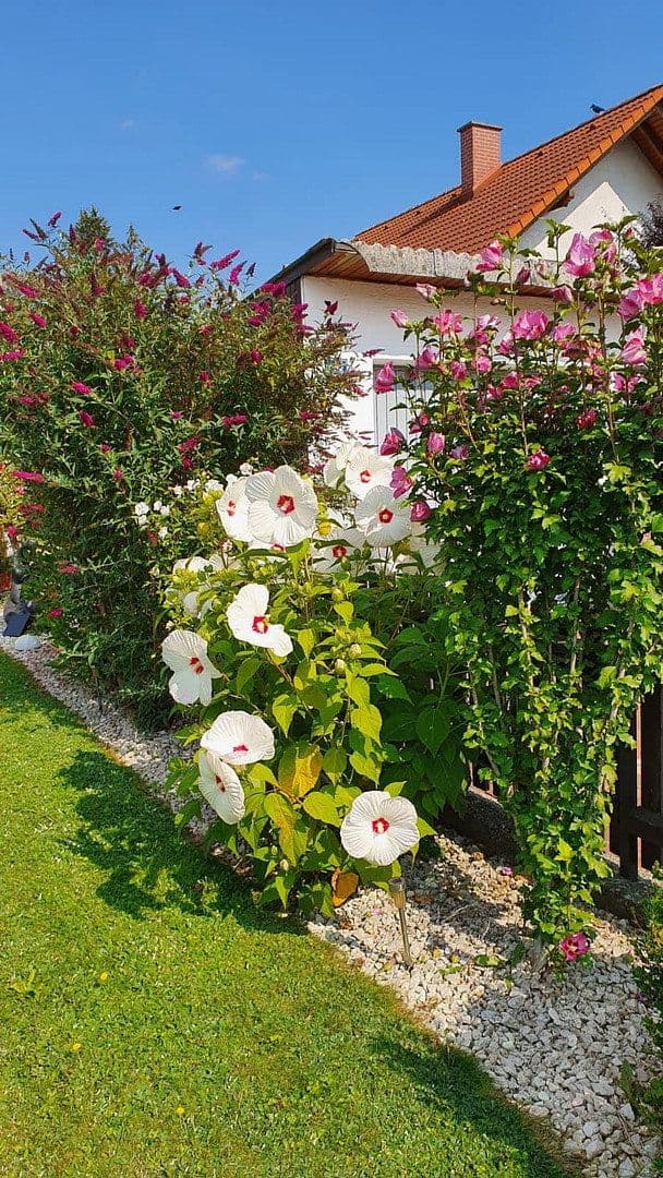 Predaj domu 72 m², pozemok 448 m², Obere Rettenbachstraße 44, Vilsbiburg, Bavorsko Predaj domu 72 m², pozemok 448 m², Obere Rettenbachstraße 44, Vilsbiburg, Bavorsko
