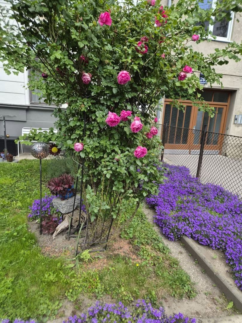 Predaj bytu 3-izbový 46 m², Stuwerviertel, Wien, Viedeň Predaj bytu 3-izbový 46 m², Stuwerviertel, Wien, Viedeň