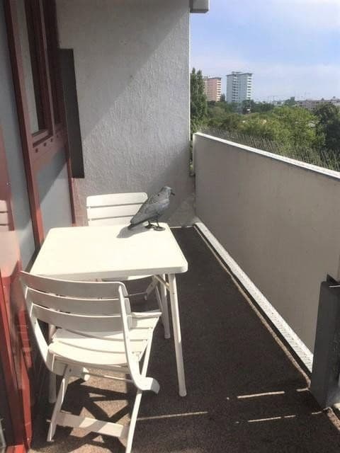 Prenájom bytu 2-izbový 67 m², München, Bavorsko Prenájom bytu 2-izbový 67 m², München, Bavorsko