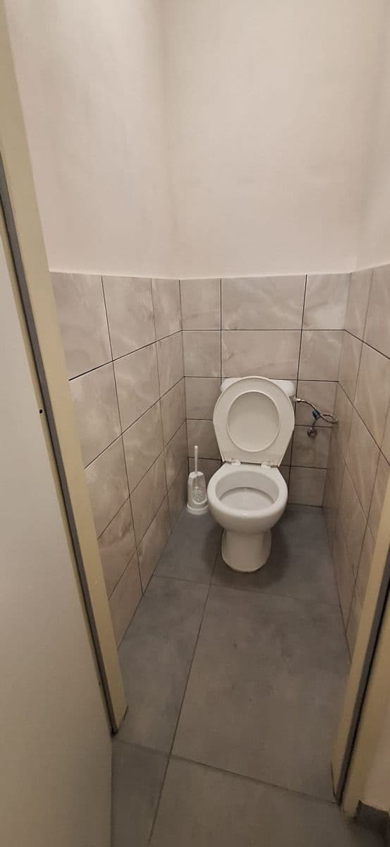 Prenájom nebytového priestoru 126 m², Vlastina, Praha, Praha Prenájom nebytového priestoru 126 m², Vlastina, Praha, Praha