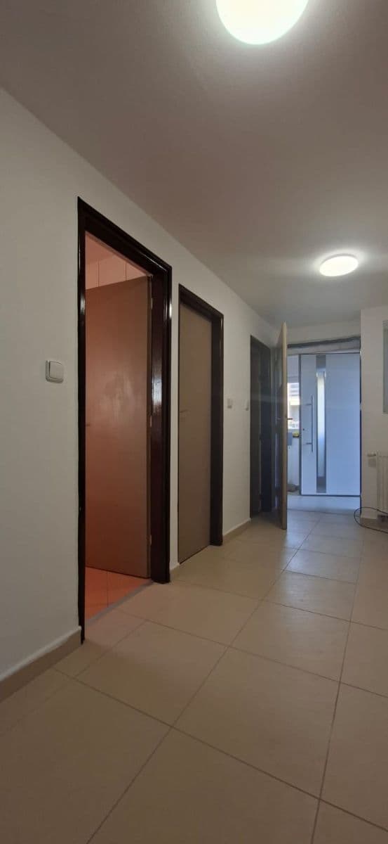 Prenájom bytu 2-izbový 74 m², Sv. Čecha, Neratovice, Středočeský kraj Prenájom bytu 2-izbový 74 m², Sv. Čecha, Neratovice, Středočeský kraj