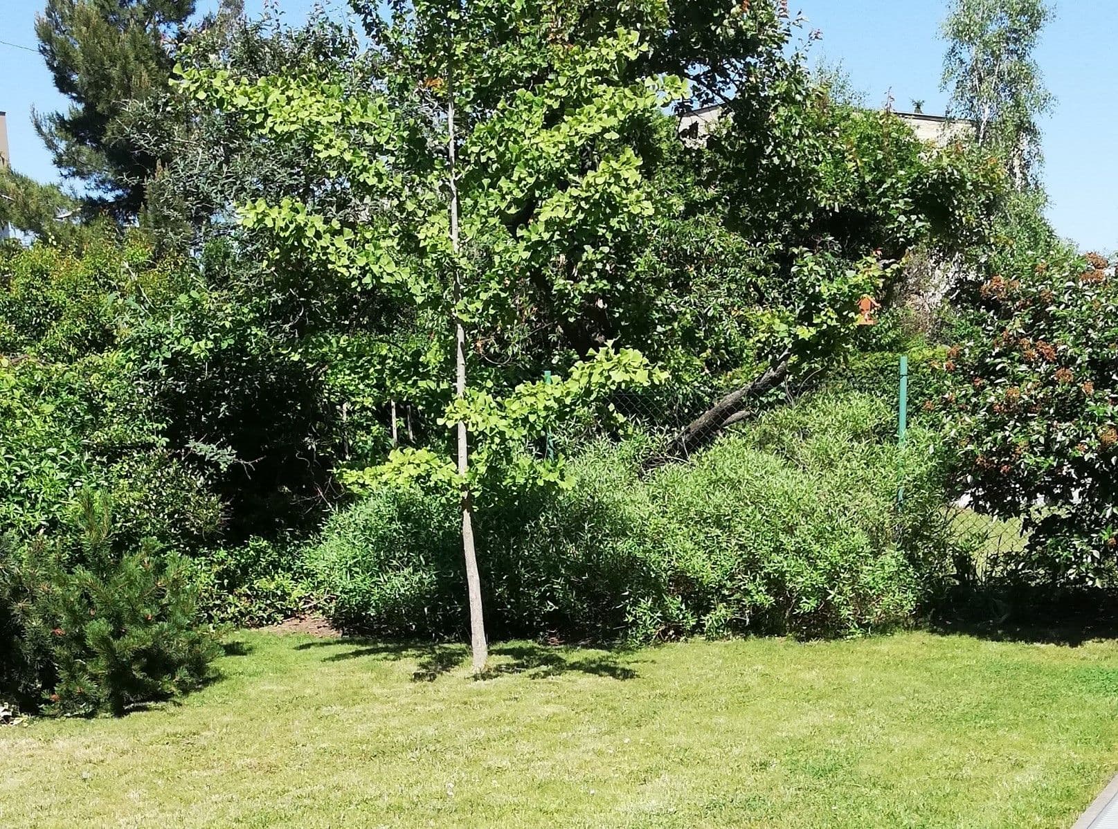 Prenájom bytu 2-izbový 88 m², Na Třebešíně, Praha, Praha Prenájom bytu 2-izbový 88 m², Na Třebešíně, Praha, Praha