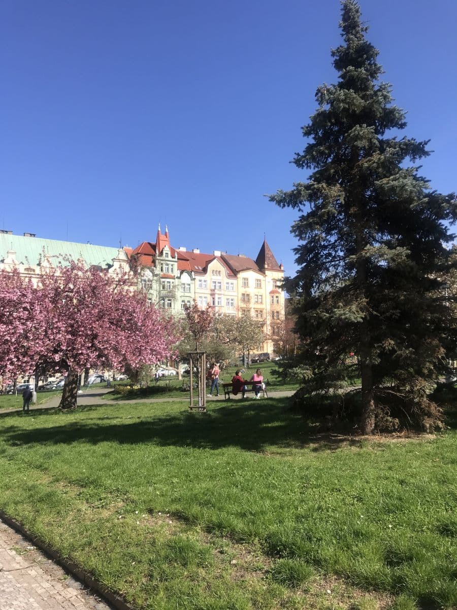 Prenájom bytu 53 m², náměstí Generála Kutlvašra, Praha, Praha Prenájom bytu 53 m², náměstí Generála Kutlvašra, Praha, Praha