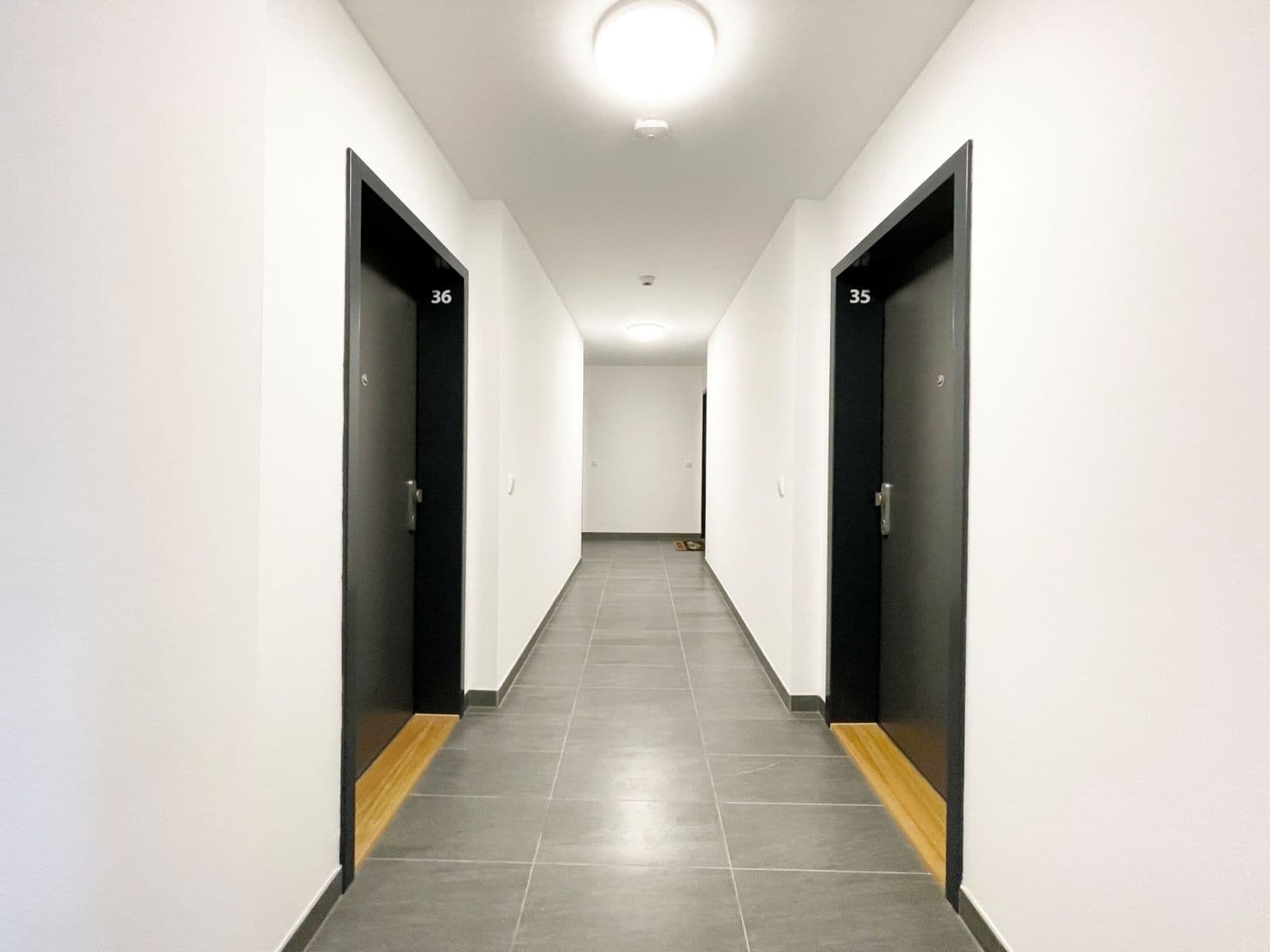 Prenájom bytu 1-izbový 32 m², Olgy Havlové, Praha, Praha Prenájom bytu 1-izbový 32 m², Olgy Havlové, Praha, Praha