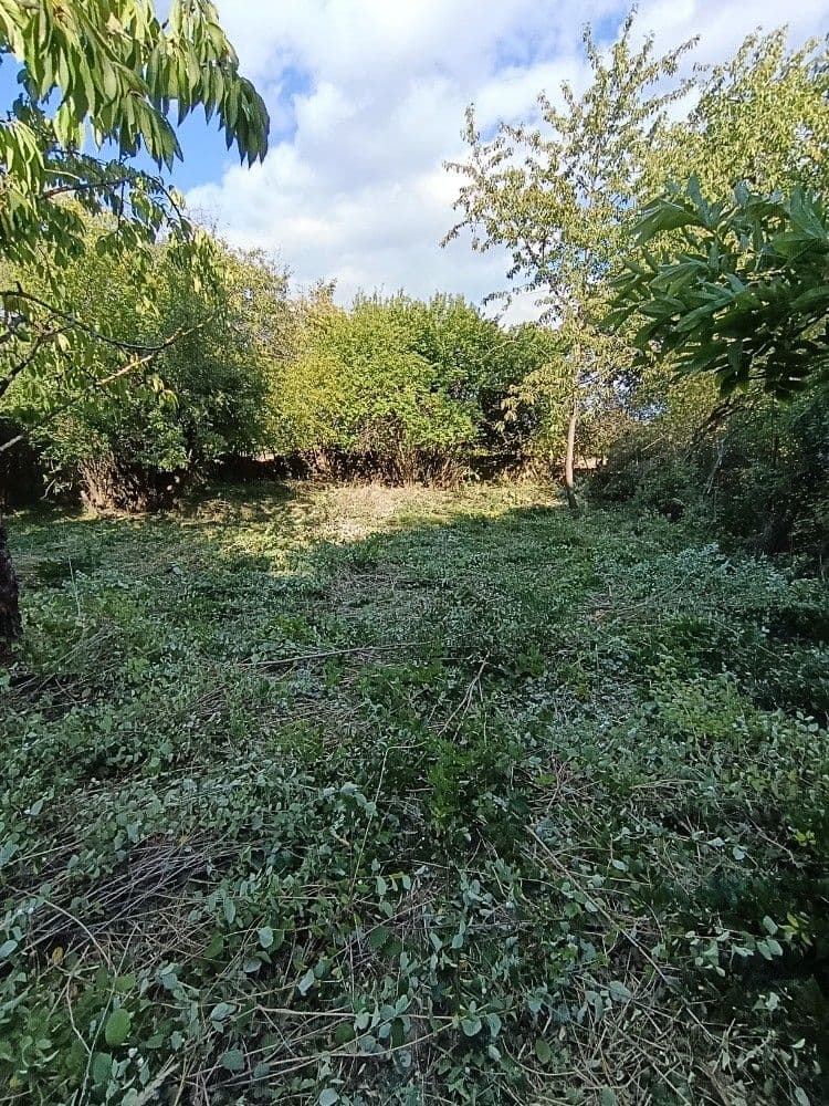 Predaj pozemku 1.232 m², Hluchov, Olomoucký kraj Predaj pozemku 1.232 m², Hluchov, Olomoucký kraj