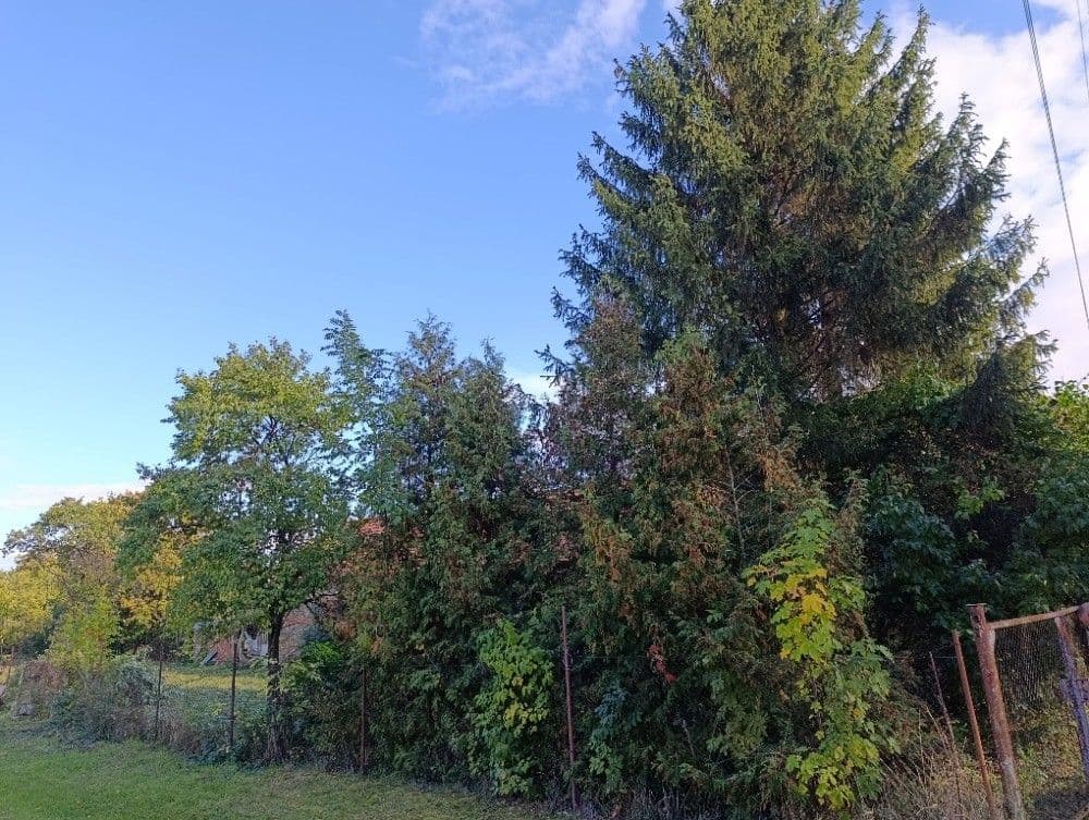 Predaj pozemku 1.232 m², Hluchov, Olomoucký kraj Predaj pozemku 1.232 m², Hluchov, Olomoucký kraj