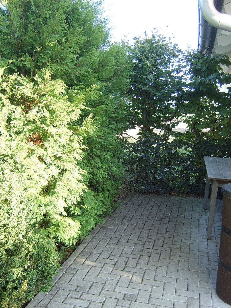 Prenájom domu 210 m², pozemok 500 m², Elkofener Weg 31, Grafing b. München, Bavorsko Prenájom domu 210 m², pozemok 500 m², Elkofener Weg 31, Grafing b. München, Bavorsko