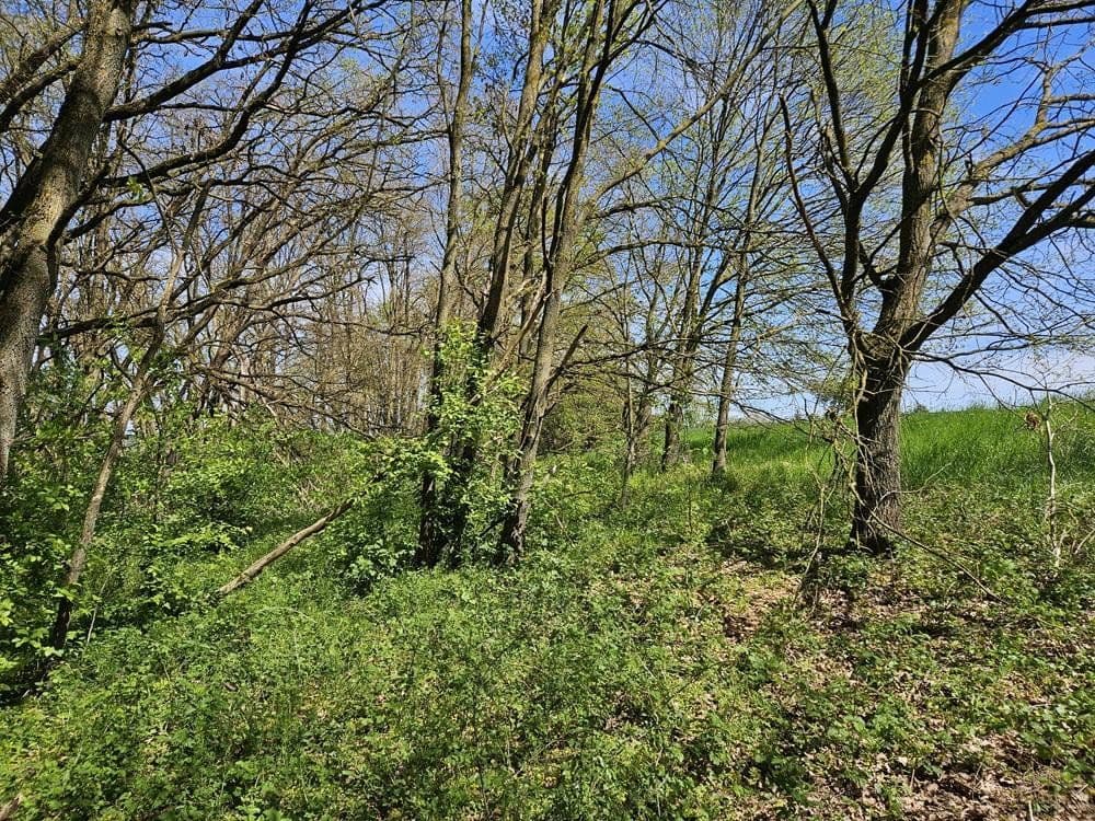 Predaj pozemku 4.330 m², Bischberg, Bavorsko Predaj pozemku 4.330 m², Bischberg, Bavorsko