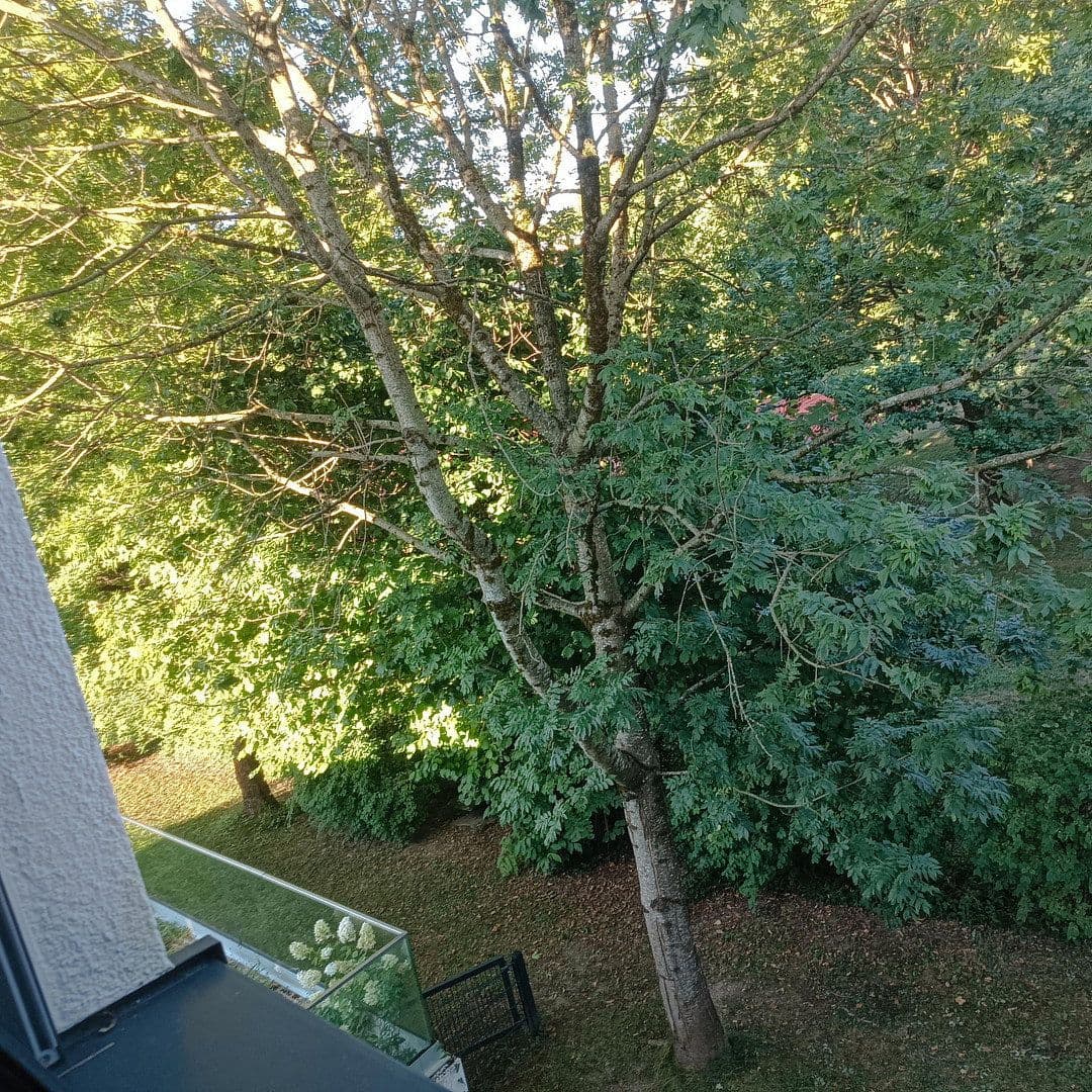 Predaj domu 188 m², pozemok 1.100 m², Traunstein, Bavorsko Predaj domu 188 m², pozemok 1.100 m², Traunstein, Bavorsko