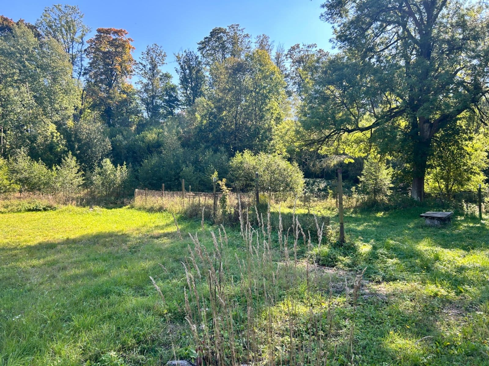 Predaj domu 95 m², pozemok 1.199 m², Smilovská, Libavá, Olomoucký kraj Predaj domu 95 m², pozemok 1.199 m², Smilovská, Libavá, Olomoucký kraj