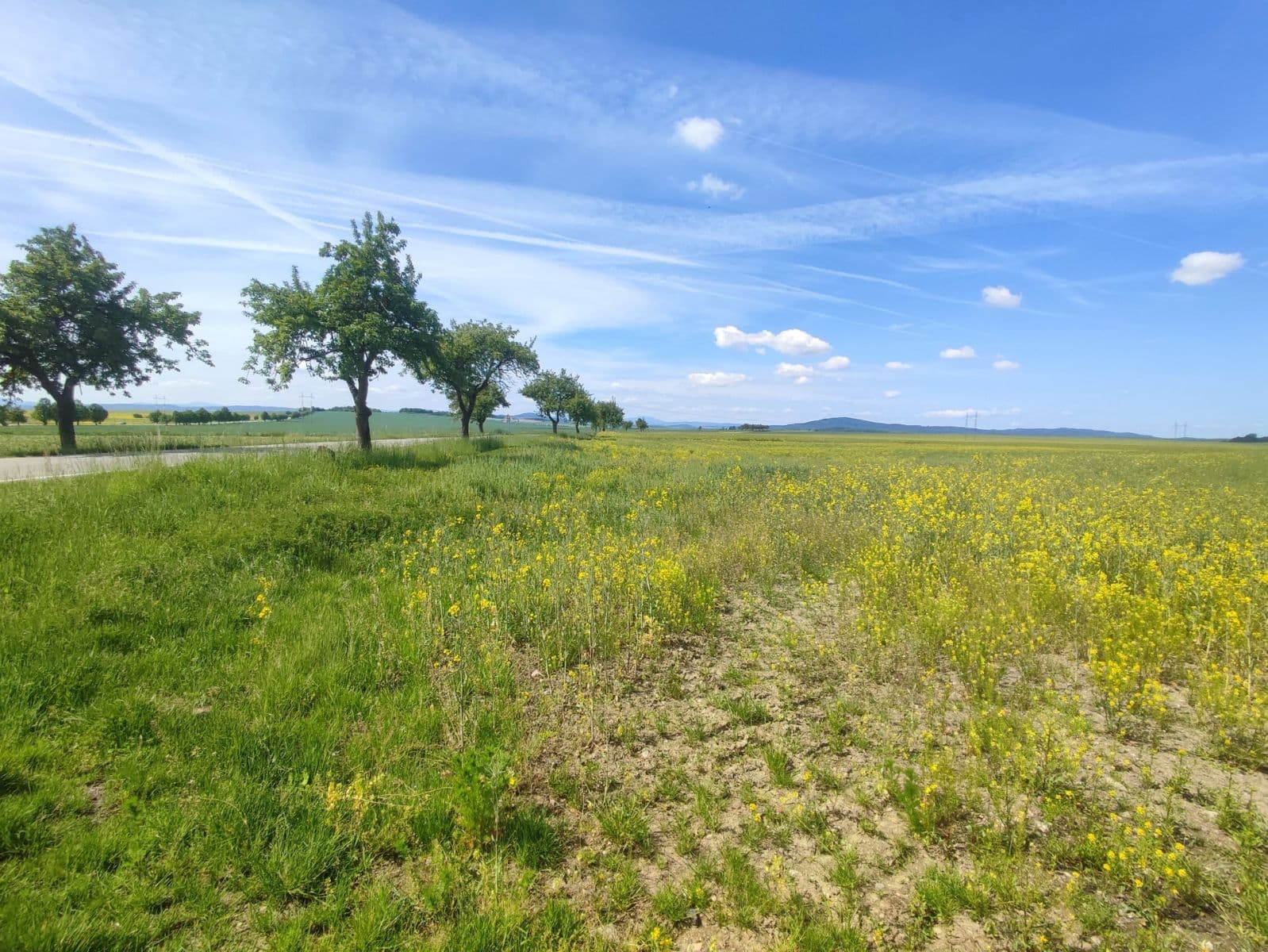 Predaj pozemku 9.000 m², Protivín, Jihočeský kraj Predaj pozemku 9.000 m², Protivín, Jihočeský kraj
