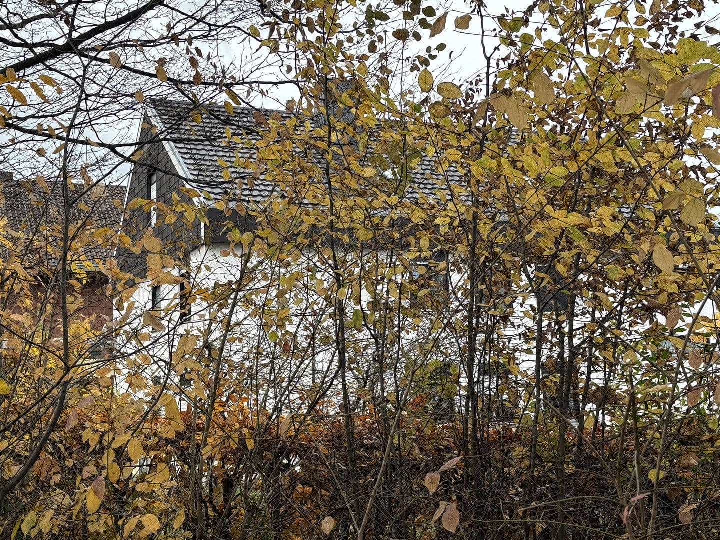 Predaj domu 370 m², pozemok 854 m², Bruchsal, Bádensko-Wurttembersko Predaj domu 370 m², pozemok 854 m², Bruchsal, Bádensko-Wurttembersko
