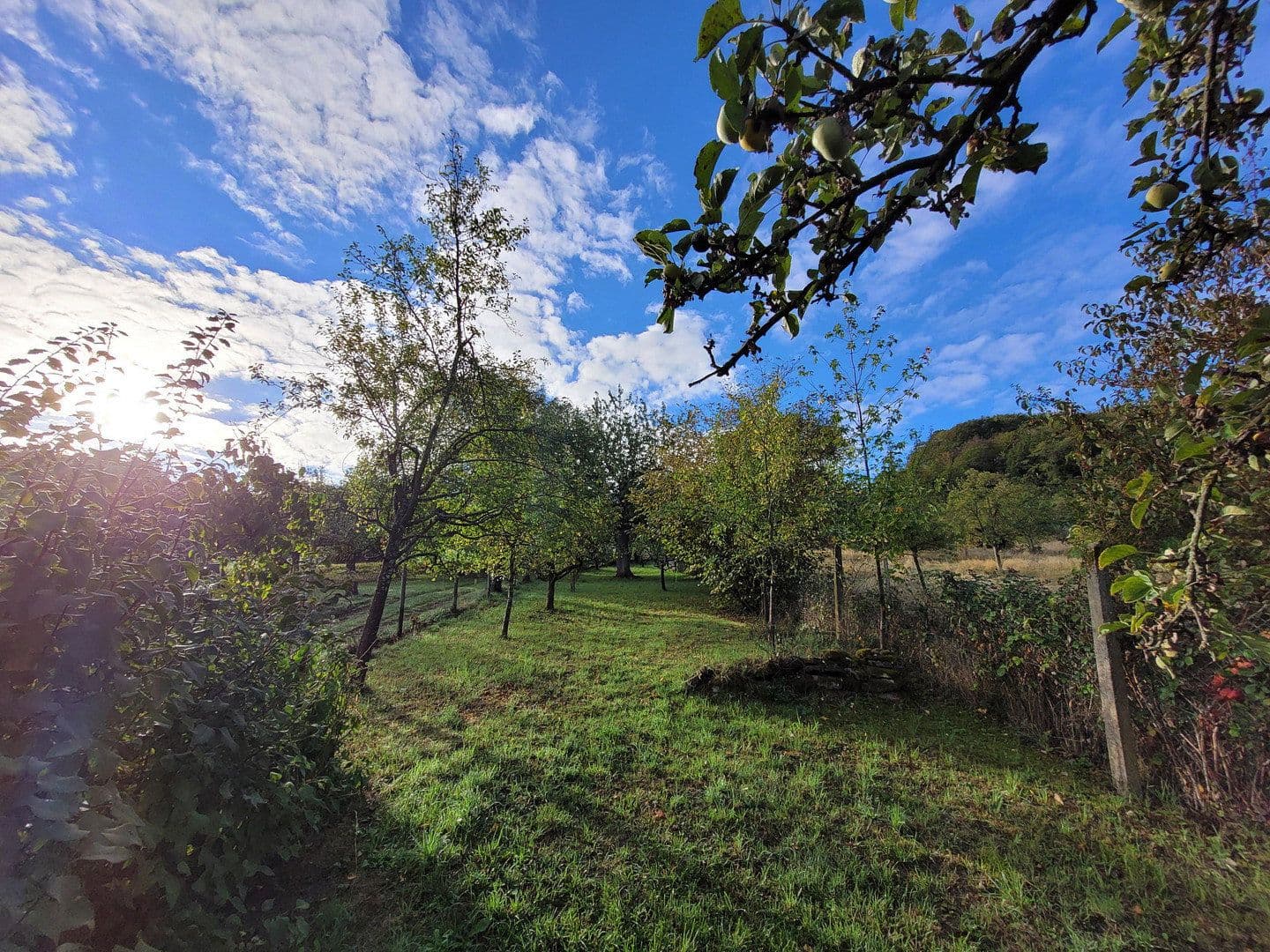 Predaj domu 150 m², pozemok 1.390 m², Kirchstraße 3, Beilstein, Bádensko-Wurttembersko Predaj domu 150 m², pozemok 1.390 m², Kirchstraße 3, Beilstein, Bádensko-Wurttembersko