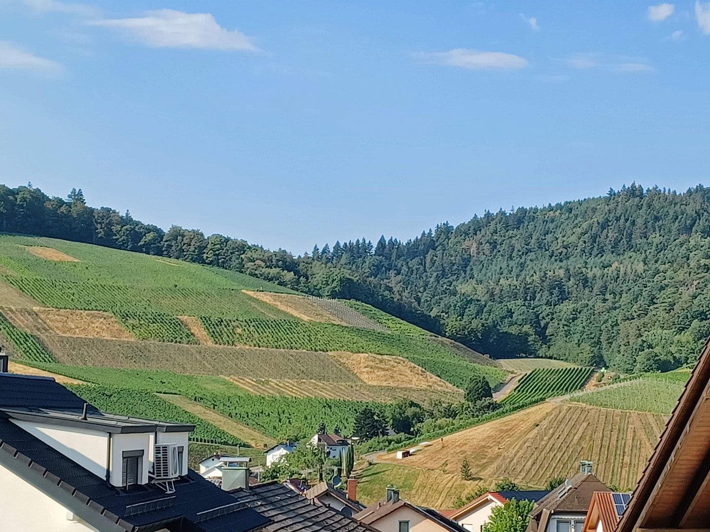 Prenájom bytu 3-izbový 115 m², Baden-Baden - Neuweier, Bádensko-Wurttembersko Prenájom bytu 3-izbový 115 m², Baden-Baden - Neuweier, Bádensko-Wurttembersko
