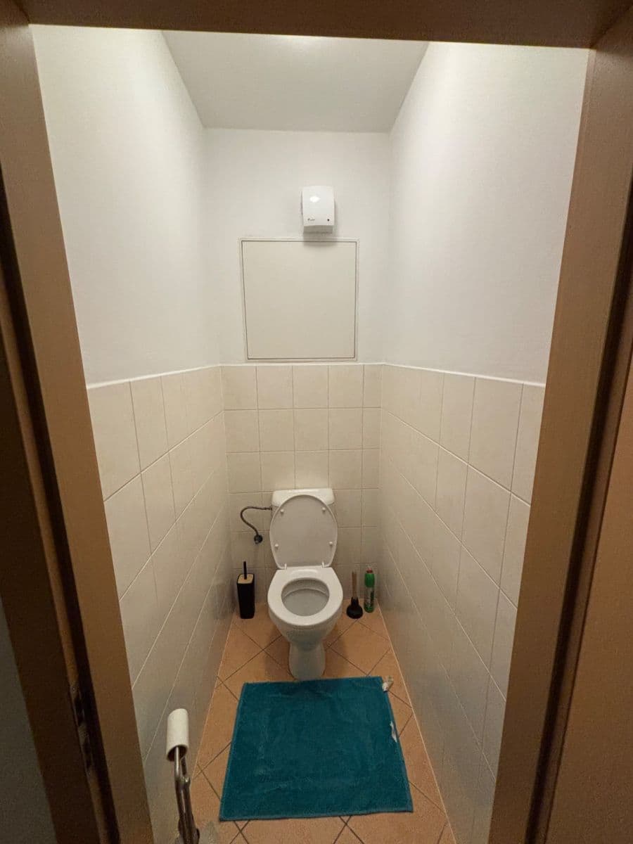 Prenájom bytu 2-izbový 48 m², Berlínská, Praha, Praha Prenájom bytu 2-izbový 48 m², Berlínská, Praha, Praha