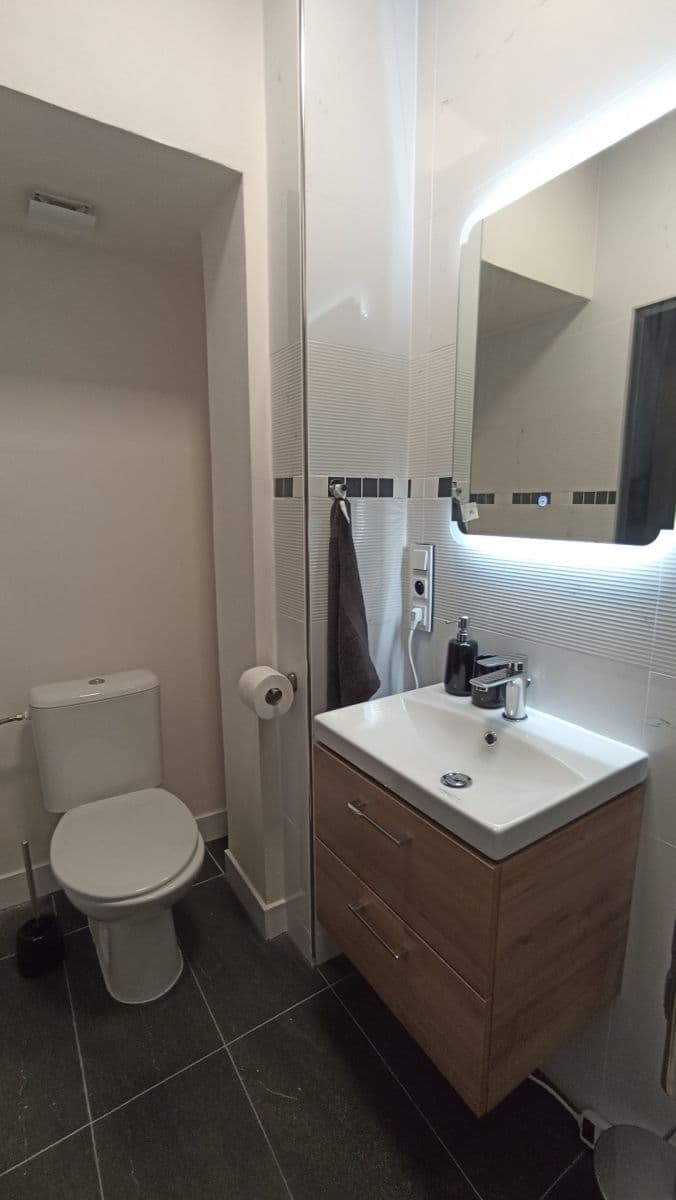 Prenájom bytu 1-izbový 1 m², V Brůdku, Praha, Praha Prenájom bytu 1-izbový 1 m², V Brůdku, Praha, Praha