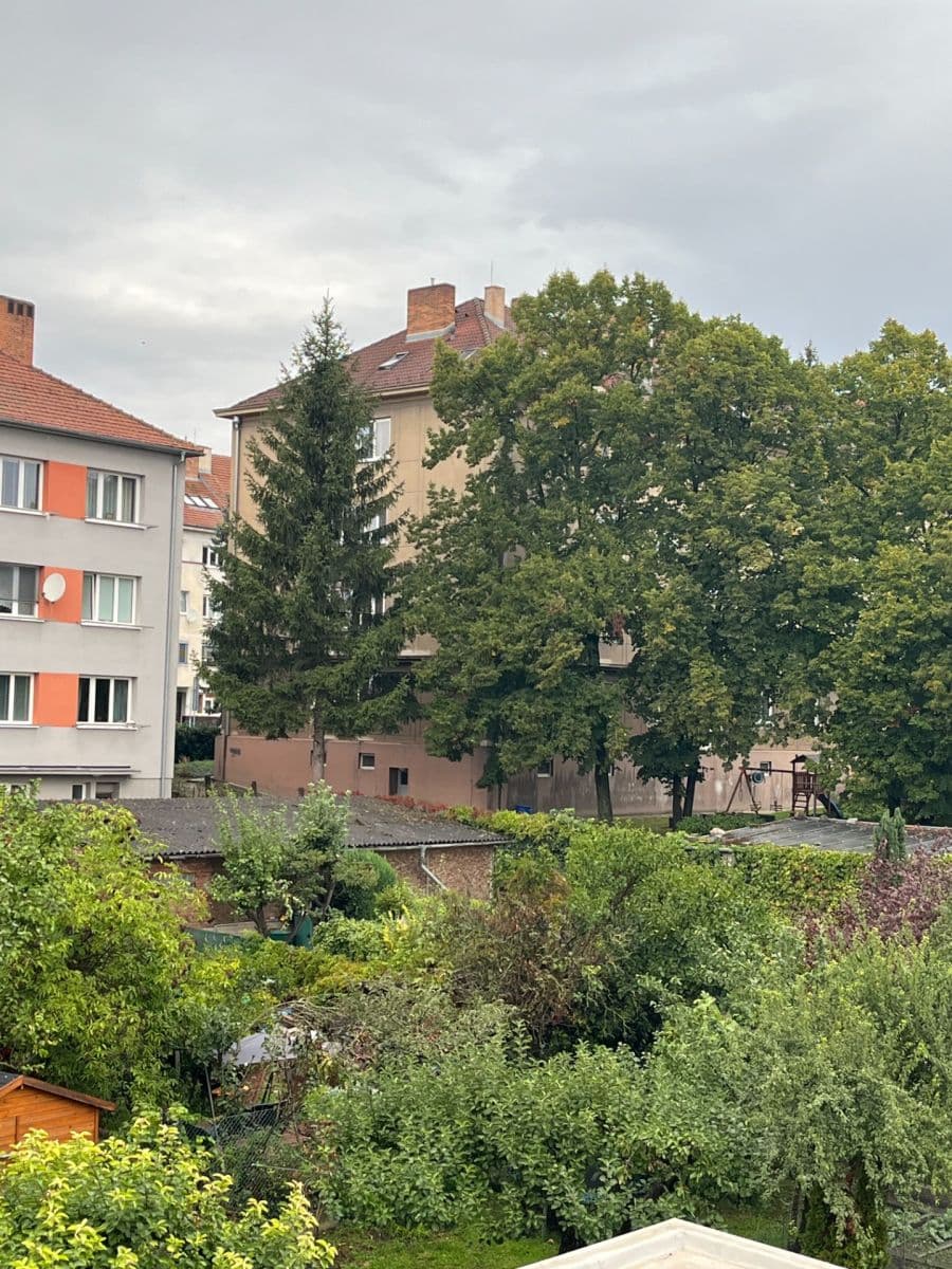 Prenájom bytu 1-izbový 46 m², Maškova, Brno, Jihomoravský kraj Prenájom bytu 1-izbový 46 m², Maškova, Brno, Jihomoravský kraj