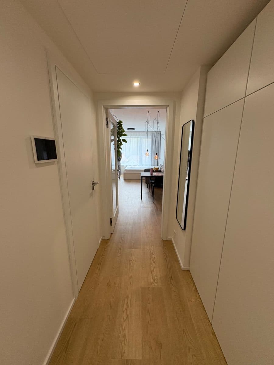 Prenájom bytu 1-izbový 40 m², Skálové, Praha, Praha Prenájom bytu 1-izbový 40 m², Skálové, Praha, Praha