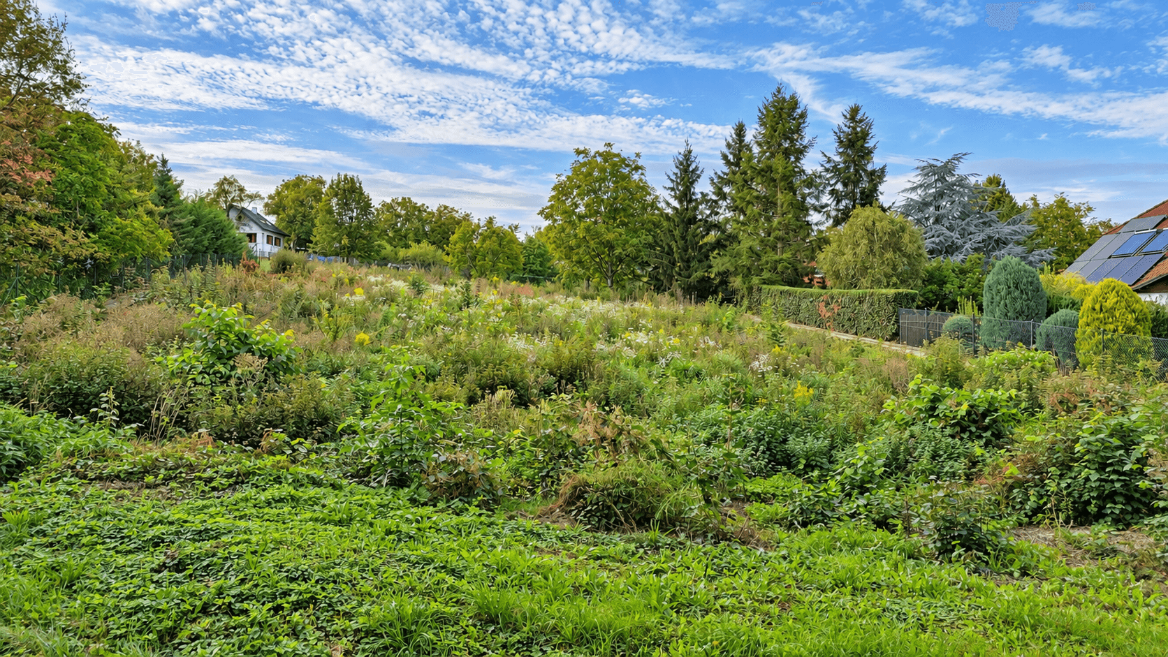 Predaj pozemku 1.816 m², Černošice, Středočeský kraj Predaj pozemku 1.816 m², Černošice, Středočeský kraj