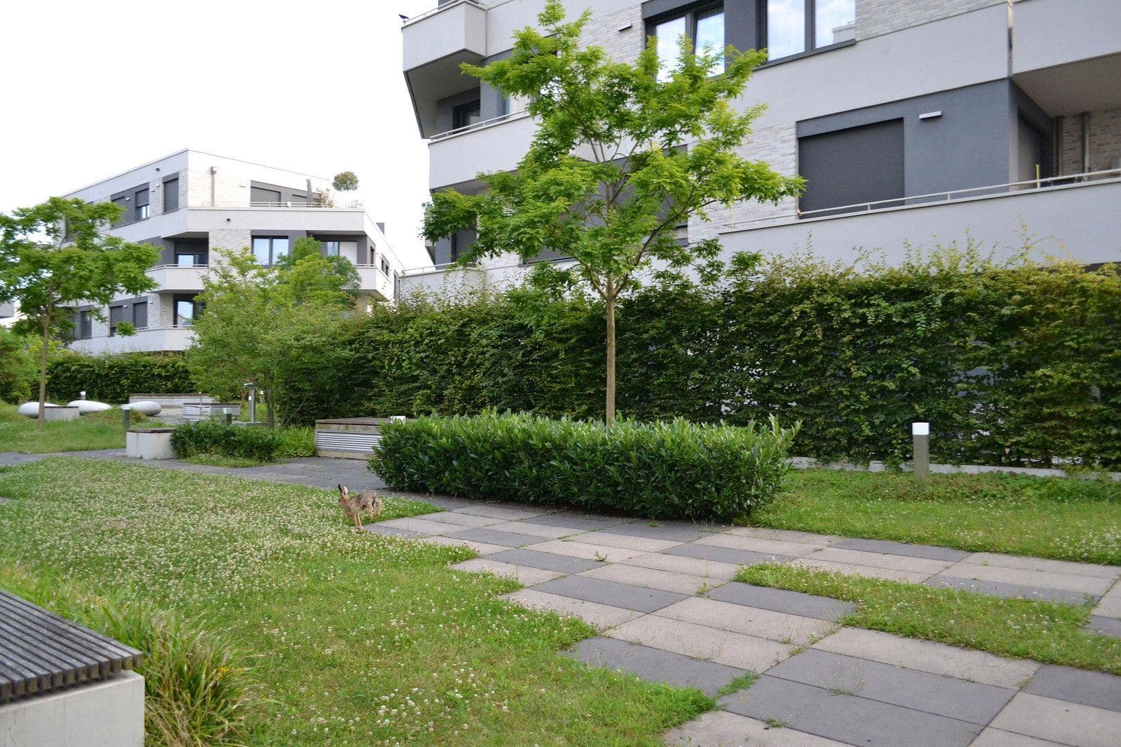 Prenájom bytu 3-izbový 87 m², Ella-Bergmann-Michel-Str. 1, Frankfurt, Hesensko Prenájom bytu 3-izbový 87 m², Ella-Bergmann-Michel-Str. 1, Frankfurt, Hesensko
