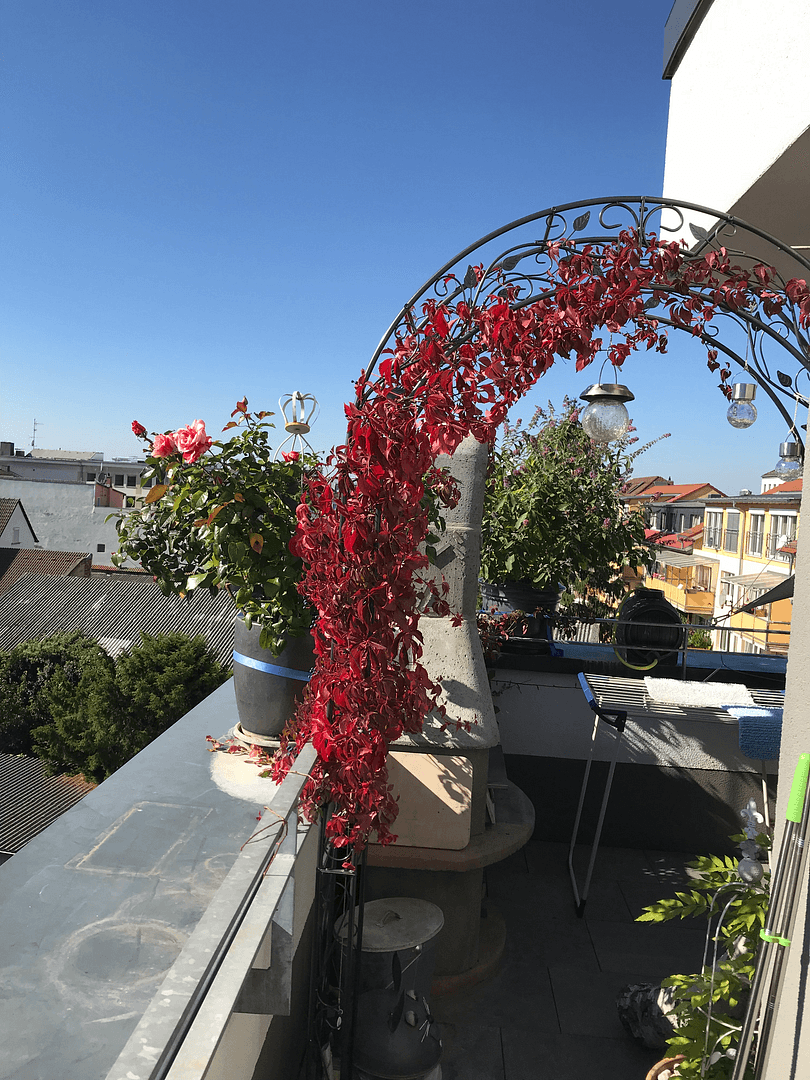 Predaj bytu 3-izbový 124 m², Darmstadt, Hesensko Predaj bytu 3-izbový 124 m², Darmstadt, Hesensko