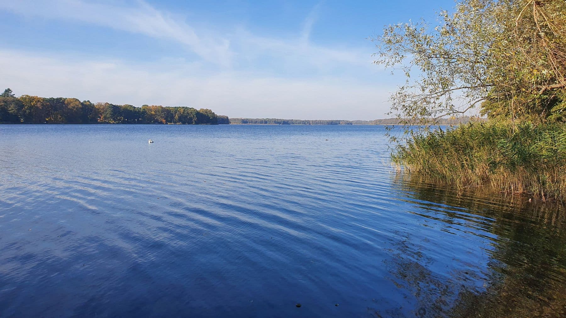 Prenájom bytu 2-izbový 48 m², Bergstraße 20, Mittenwalde, Brandenbursko Prenájom bytu 2-izbový 48 m², Bergstraße 20, Mittenwalde, Brandenbursko