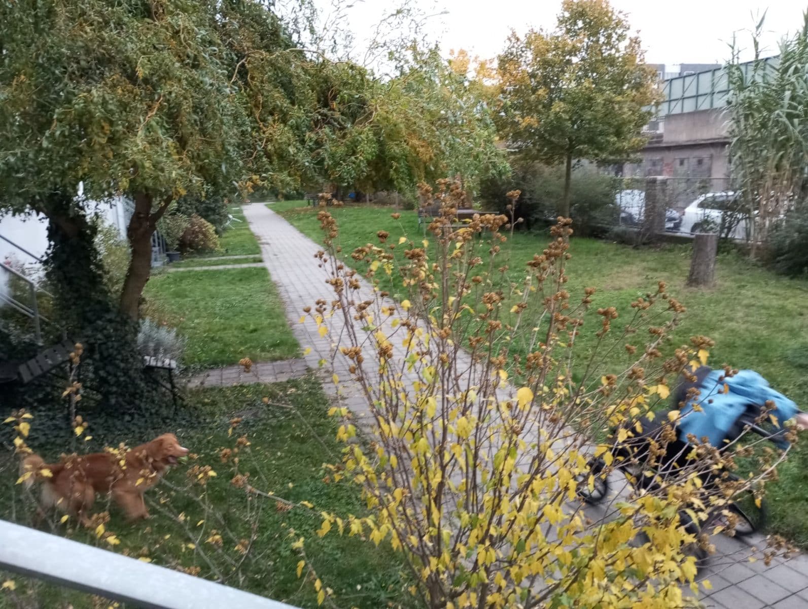 Prenájom bytu 2-izbový 42 m², Osadní, Praha, Praha Prenájom bytu 2-izbový 42 m², Osadní, Praha, Praha