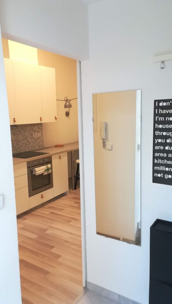 Prenájom bytu 1-izbový 42 m², Šlikova, Praha, Praha Prenájom bytu 1-izbový 42 m², Šlikova, Praha, Praha