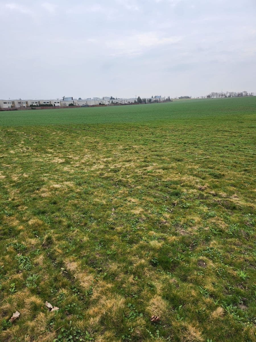 Predaj pozemku 12.054 m², Zeleneč, Středočeský kraj Predaj pozemku 12.054 m², Zeleneč, Středočeský kraj