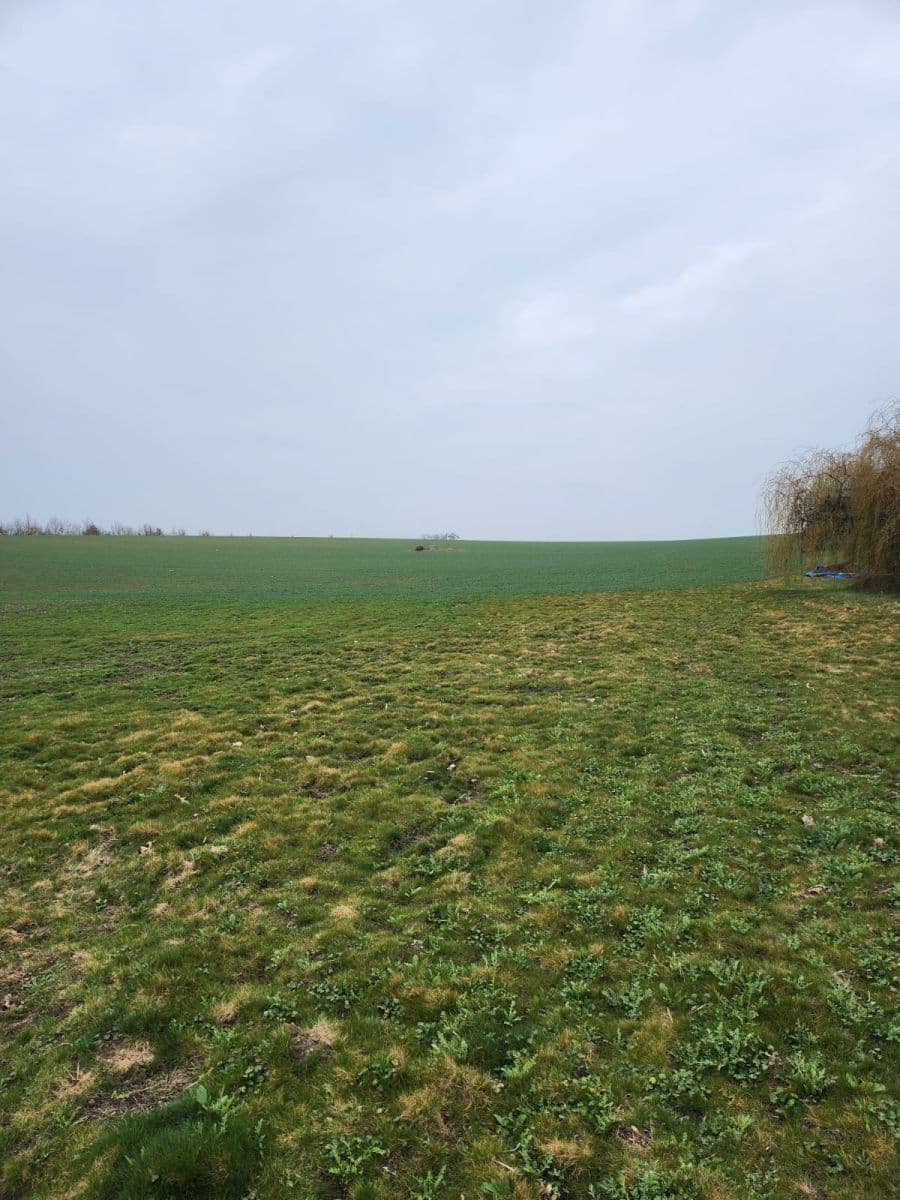 Predaj pozemku 12.054 m², Zeleneč, Středočeský kraj Predaj pozemku 12.054 m², Zeleneč, Středočeský kraj
