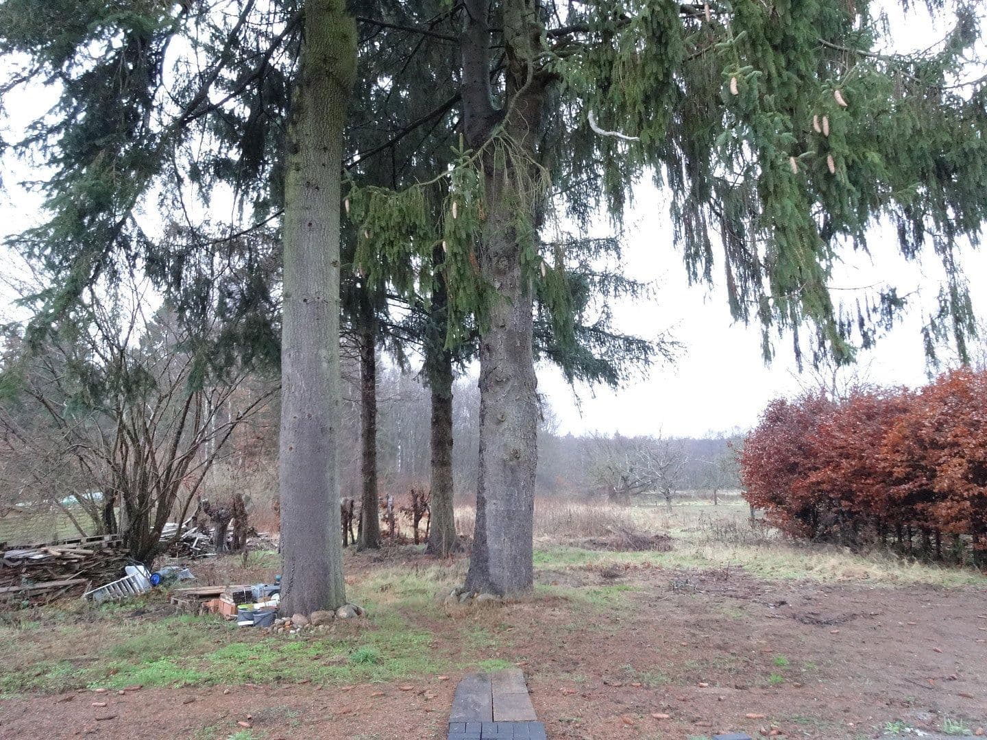 Predaj domu 105 m², pozemok 4.654 m², Steinhorst, Dolné Sasko Predaj domu 105 m², pozemok 4.654 m², Steinhorst, Dolné Sasko