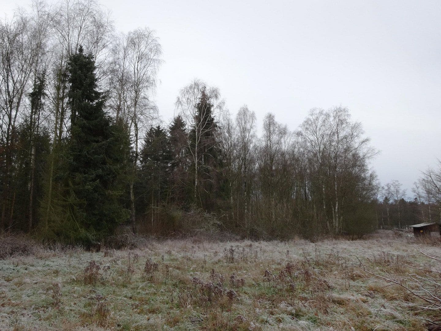 Predaj domu 105 m², pozemok 4.654 m², Steinhorst, Dolné Sasko Predaj domu 105 m², pozemok 4.654 m², Steinhorst, Dolné Sasko