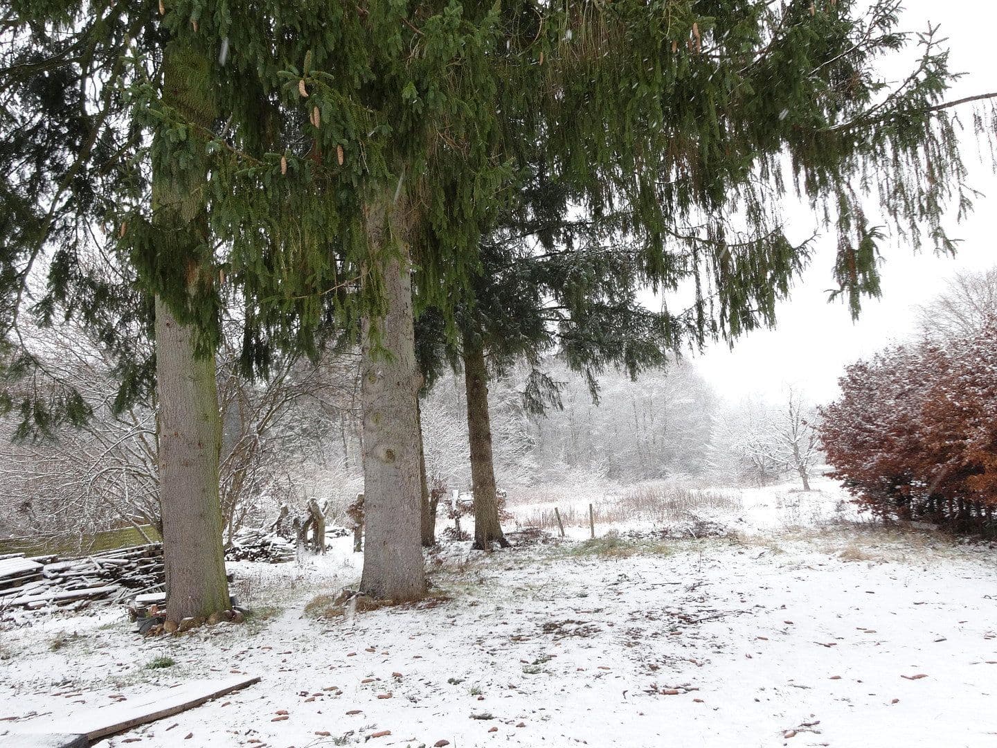 Predaj domu 105 m², pozemok 4.654 m², Steinhorst, Dolné Sasko Predaj domu 105 m², pozemok 4.654 m², Steinhorst, Dolné Sasko