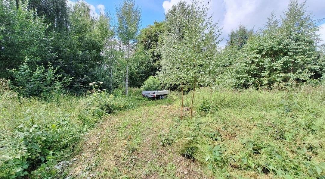 Predaj pozemku 4.500 m², Weidenhüll bei Leienfels 1, Pottenstein, Bavorsko Predaj pozemku 4.500 m², Weidenhüll bei Leienfels 1, Pottenstein, Bavorsko