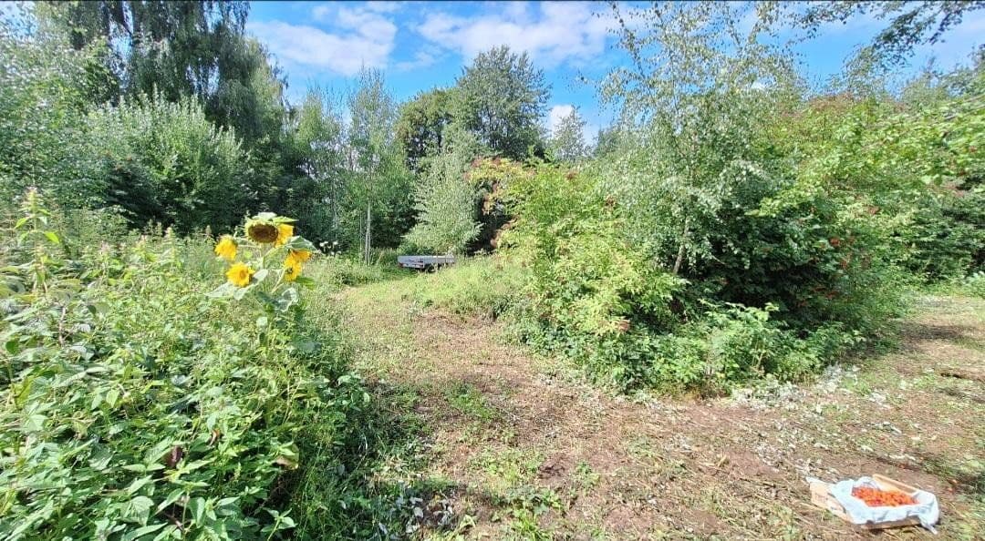 Predaj pozemku 4.500 m², Weidenhüll bei Leienfels 1, Pottenstein, Bavorsko Predaj pozemku 4.500 m², Weidenhüll bei Leienfels 1, Pottenstein, Bavorsko