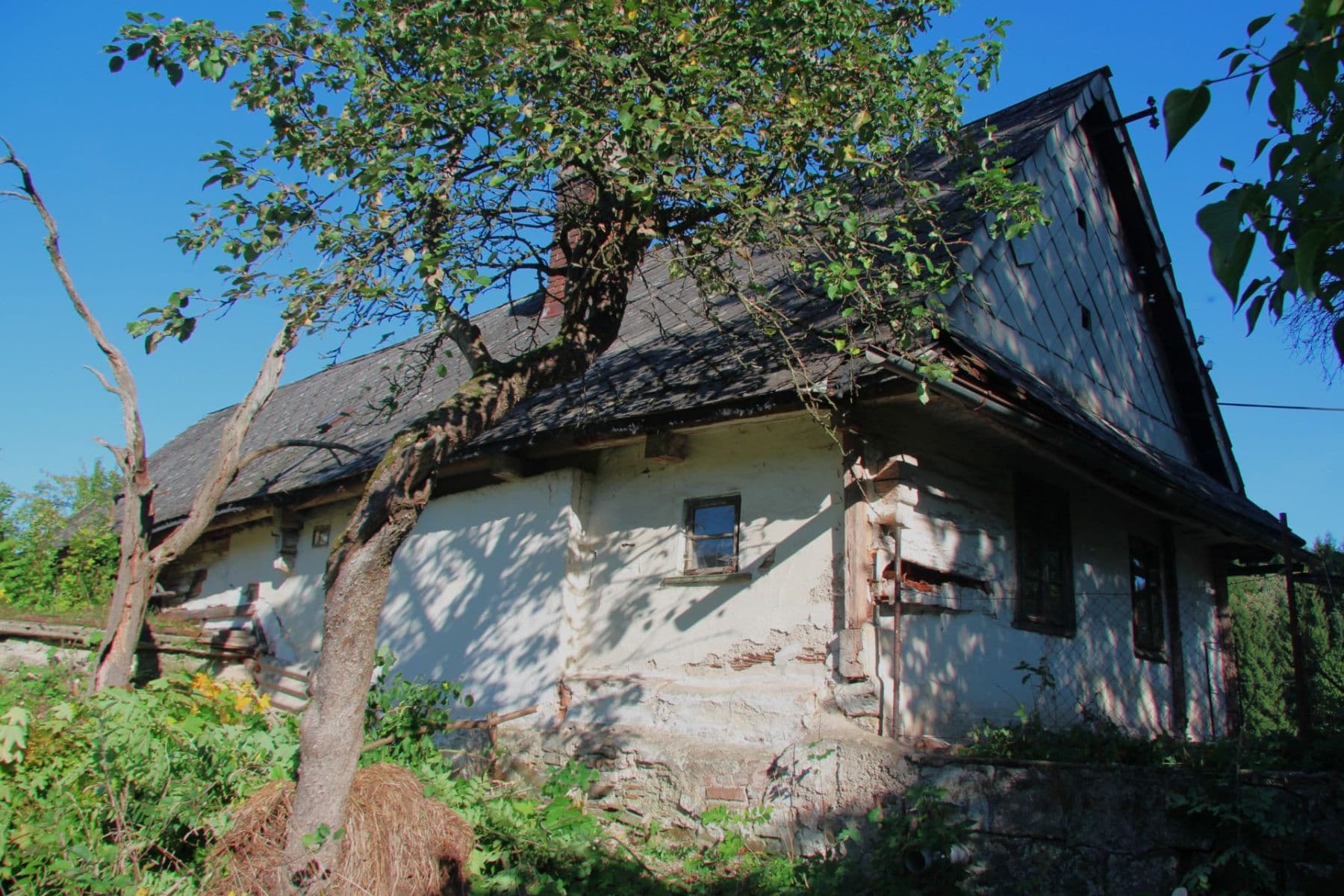 Predaj pozemku 7.344 m², Betlém, Žamberk, Pardubický kraj Predaj pozemku 7.344 m², Betlém, Žamberk, Pardubický kraj