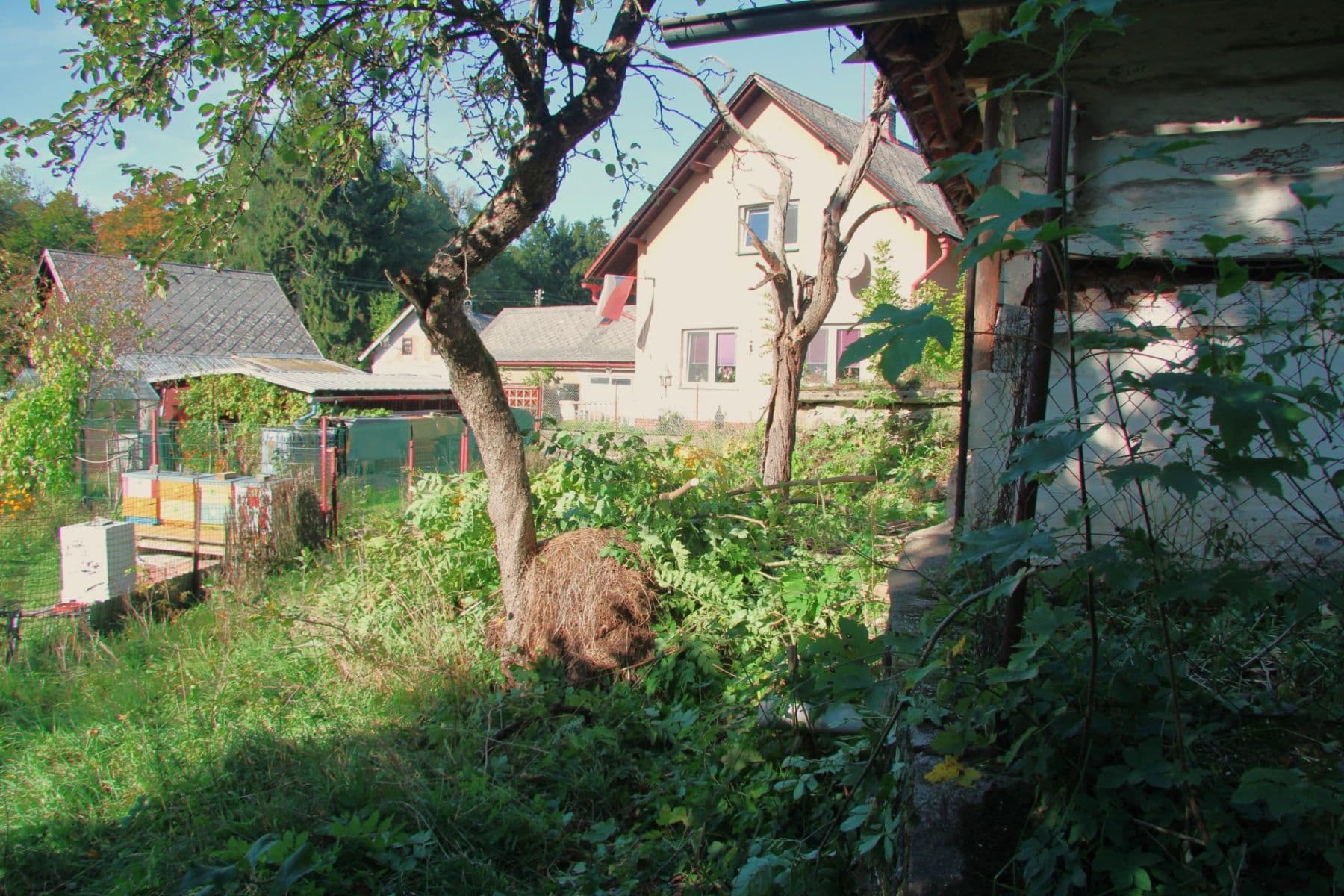 Predaj pozemku 7.344 m², Betlém, Žamberk, Pardubický kraj Predaj pozemku 7.344 m², Betlém, Žamberk, Pardubický kraj