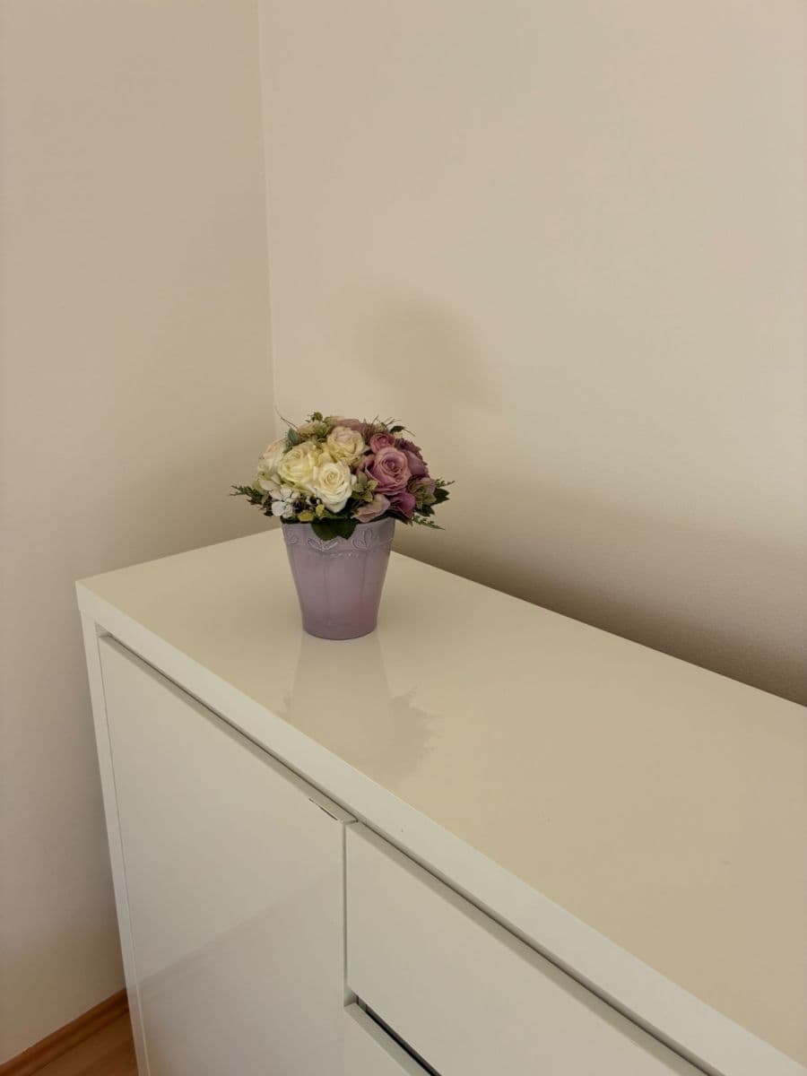Prenájom bytu 2-izbový 64 m², Bělohorská, Brno, Jihomoravský kraj Prenájom bytu 2-izbový 64 m², Bělohorská, Brno, Jihomoravský kraj