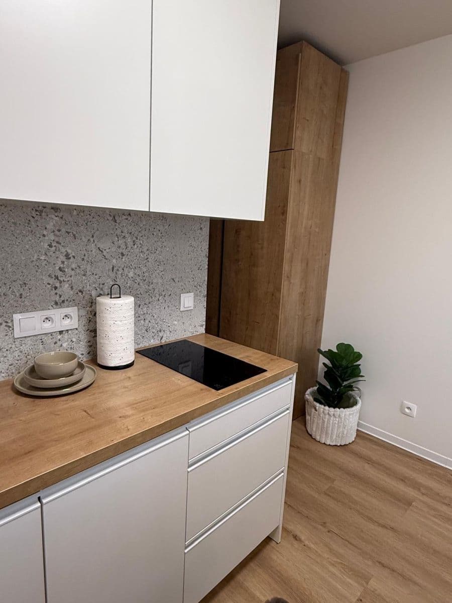 Prenájom bytu 1-izbový 28 m², Na Větrníku, Praha, Praha Prenájom bytu 1-izbový 28 m², Na Větrníku, Praha, Praha