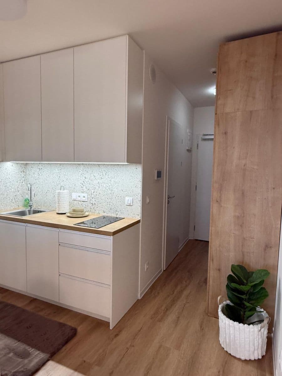 Prenájom bytu 1-izbový 28 m², Na Větrníku, Praha, Praha Prenájom bytu 1-izbový 28 m², Na Větrníku, Praha, Praha