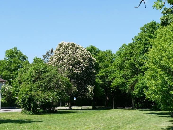 Predaj bytu 3-izbový 78 m², München, Bavorsko Predaj bytu 3-izbový 78 m², München, Bavorsko