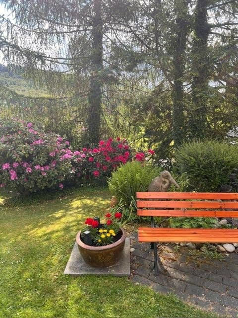 Predaj nebytového priestoru 2.326 m², Schieder-Schwalenberg, Severné Porýnie - Westfálsko Predaj nebytového priestoru 2.326 m², Schieder-Schwalenberg, Severné Porýnie - Westfálsko