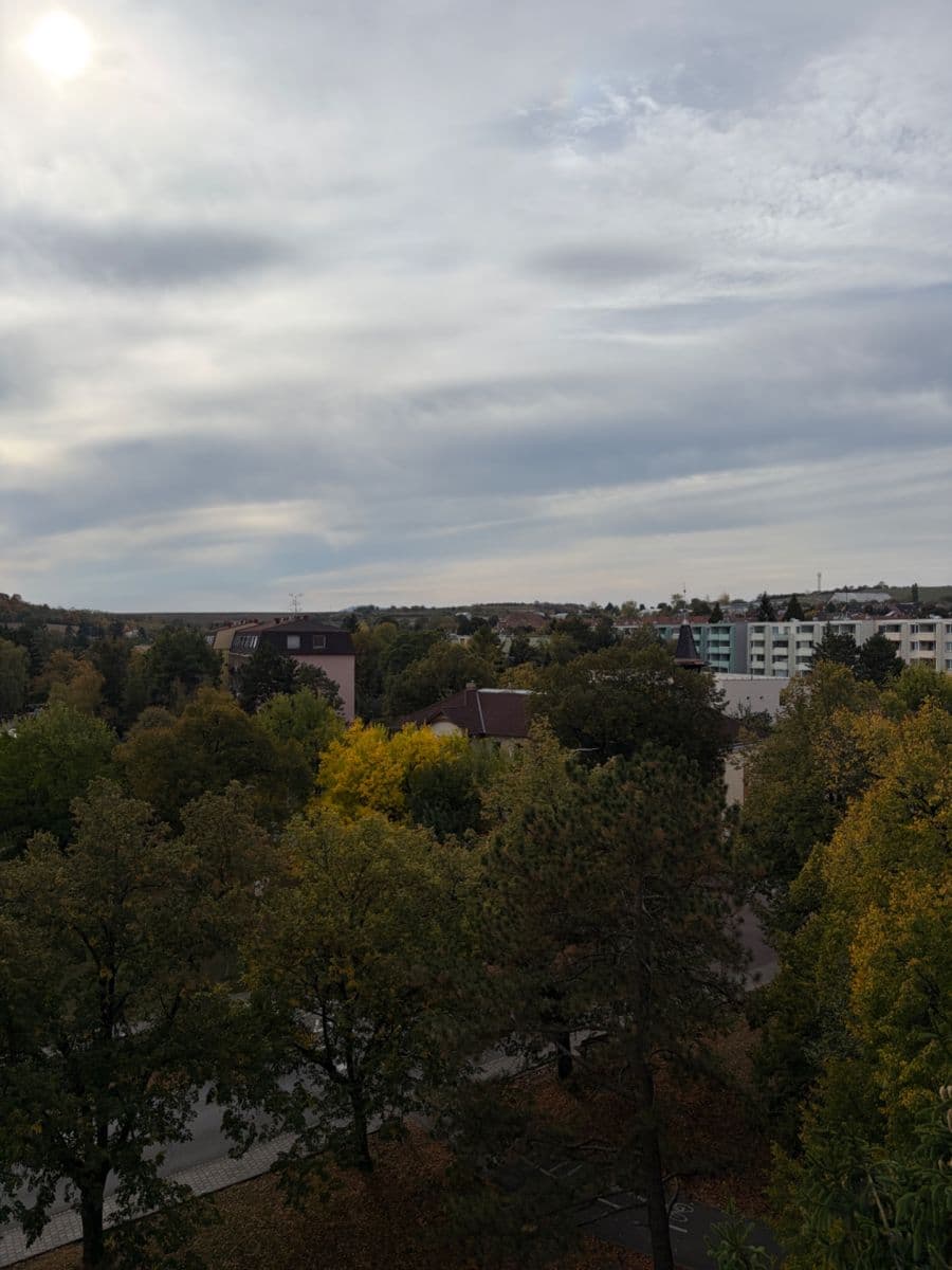 Predaj bytu 2-izbový 54 m², Masarykovo nám., Hustopeče, Jihomoravský kraj Predaj bytu 2-izbový 54 m², Masarykovo nám., Hustopeče, Jihomoravský kraj